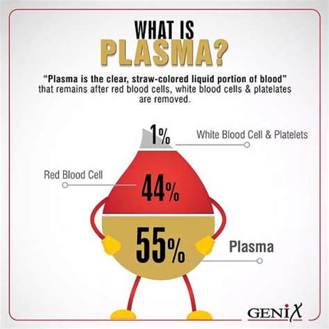 How much can i get for donating plasma. Things To Know About How much can i get for donating plasma. 
